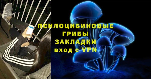 твердый Нефтекумск