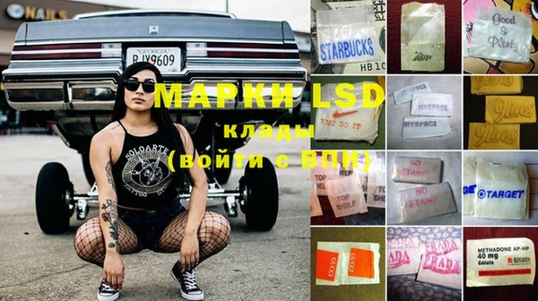 мяу мяу мука Нея